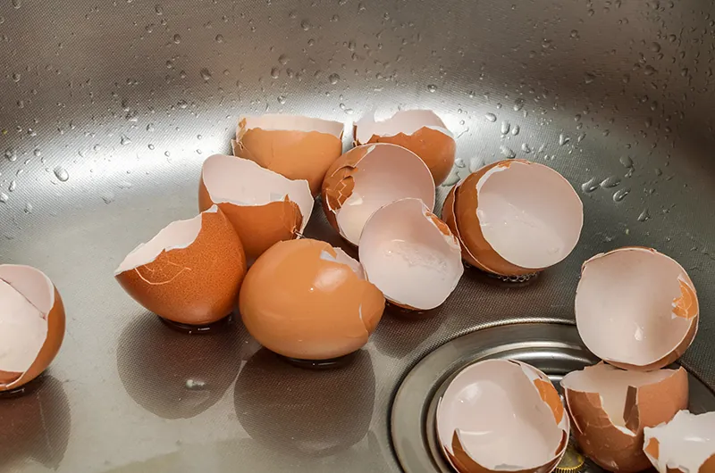 Broken brown egg shells in a stainless steel kitchen sink next to the drain