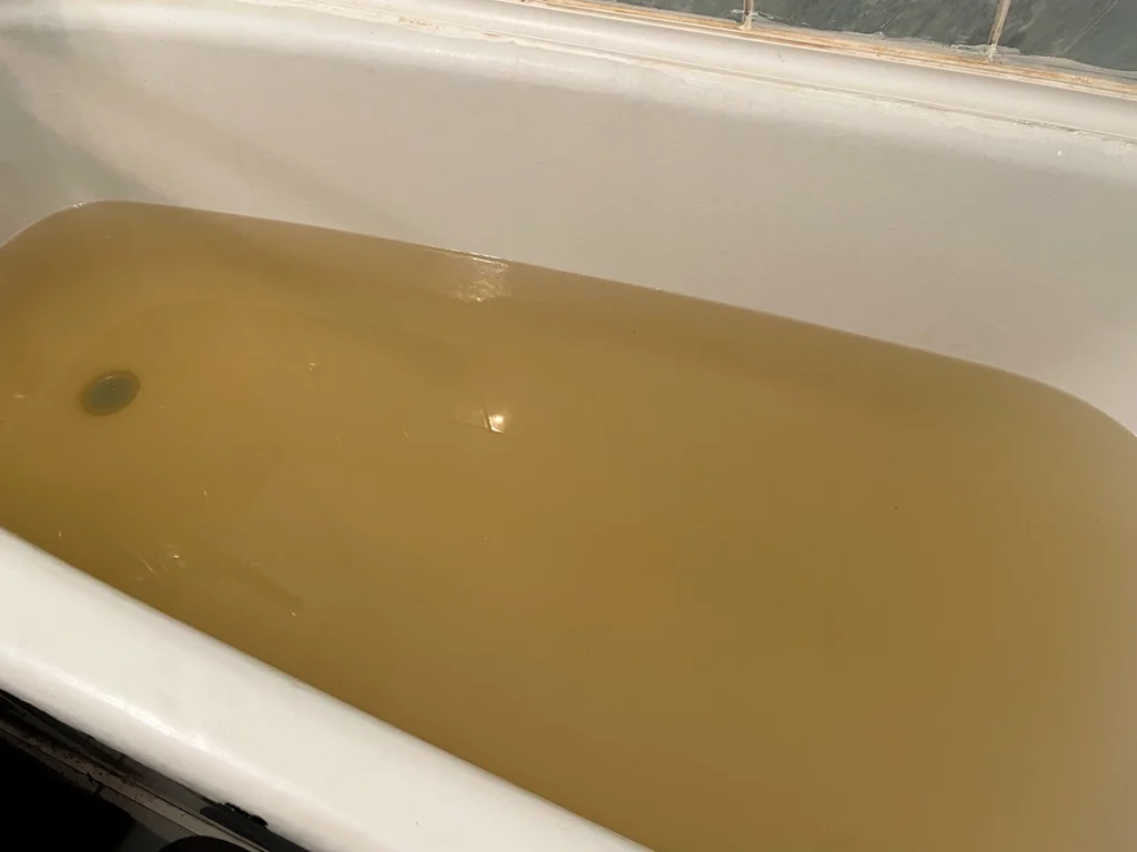 Bathtub filled with murky brown water from a drain backup