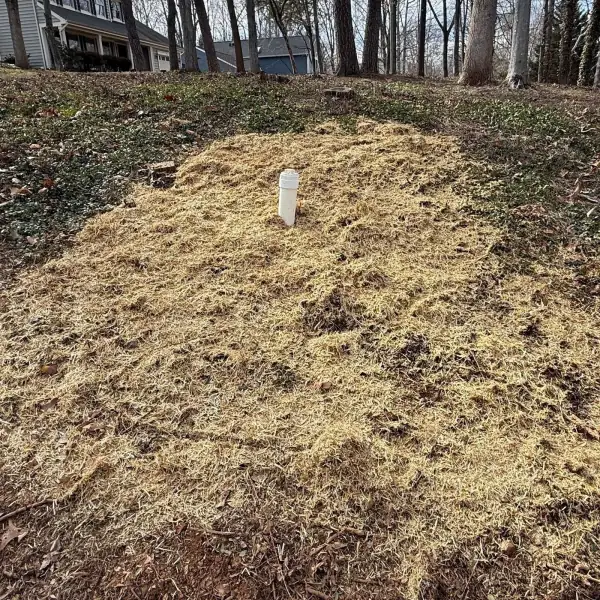 After: Cleanout repair area backfilled, seeded and strawed.