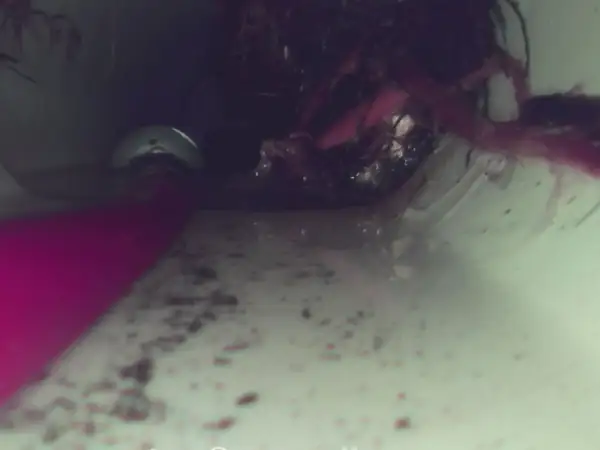 Before: Sewer camera view of the jetter nozzle at a root blockage.