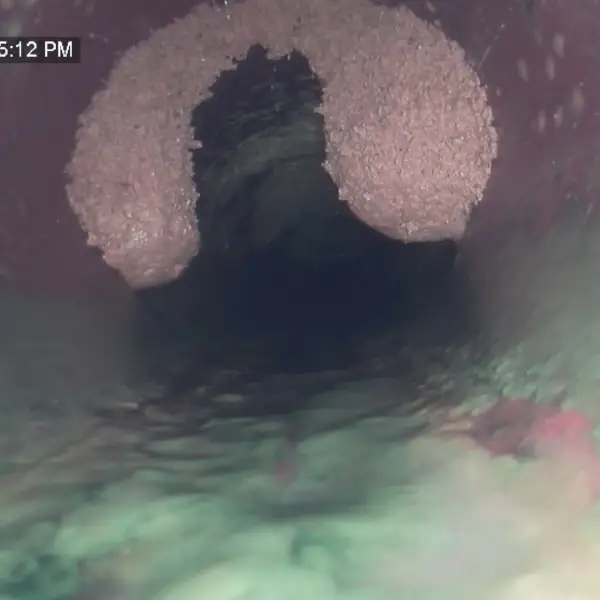 Sewer camera view of roots growing through a pipe joint.