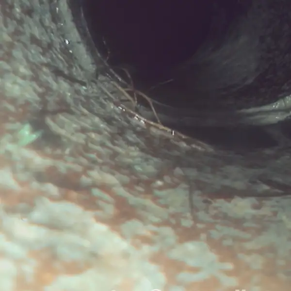 Sewer camera view of the pipe wall scoured clean by jetting.