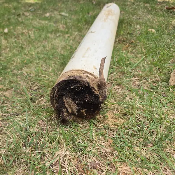 Removed sewer pipe section lying on the grass, filled with roots.